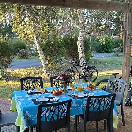 Maison Confortable 6 Pers, Terrasse, Avec Piscine Et Parking Proche - Fr-1-239-1118 * Ondres
